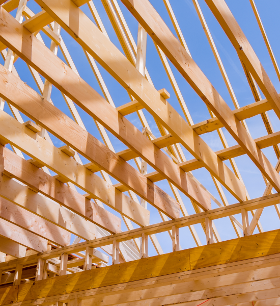 Nature Travel Youtube Video Intro (10)